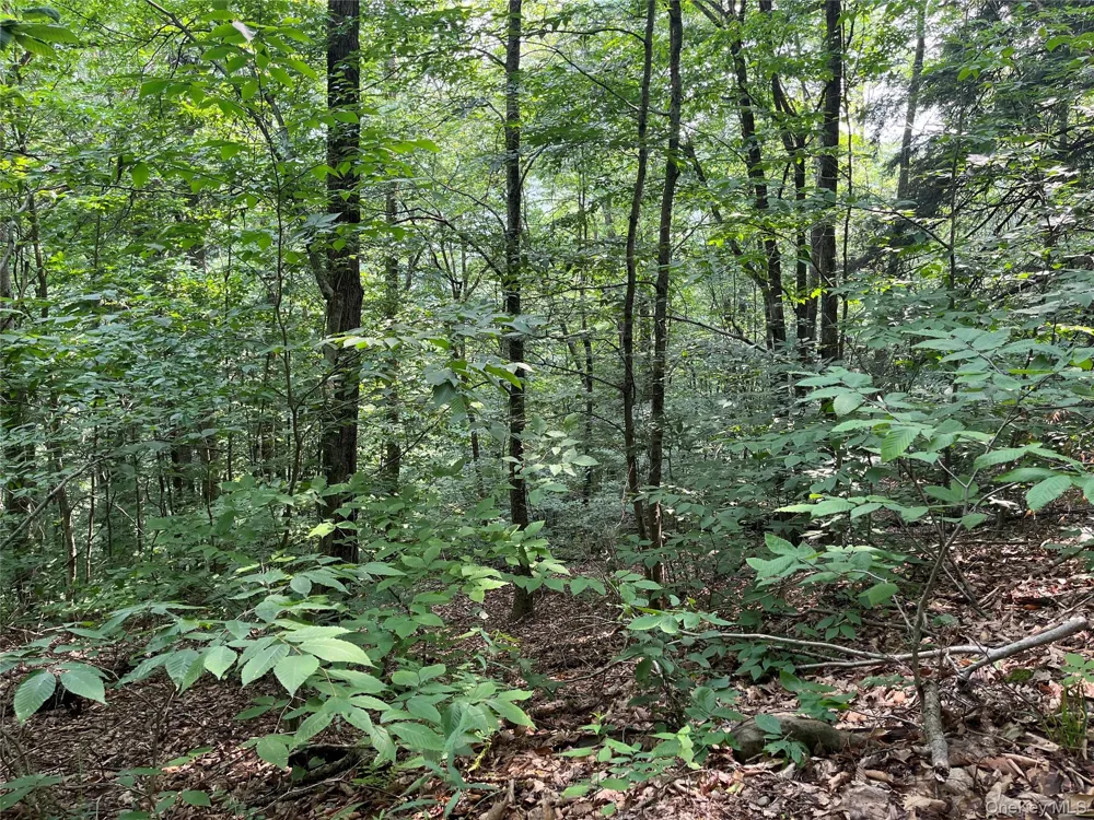 Hood Road Roscoe, NY 12776