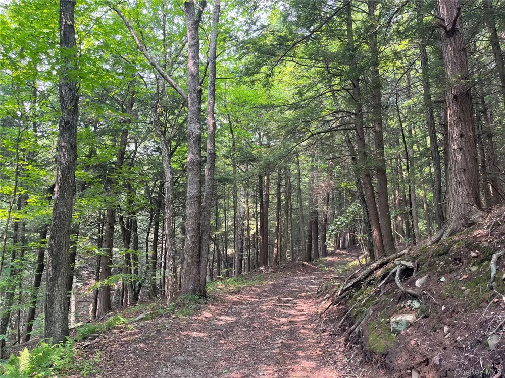 Hood Road Roscoe, NY 12776