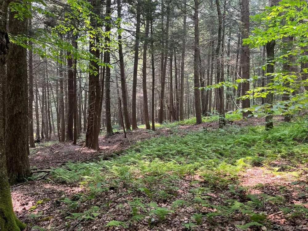 Hood Road Roscoe, NY 12776