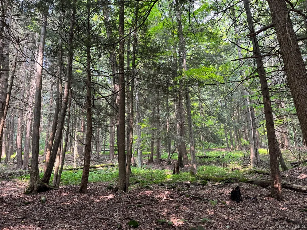 Hood Road Roscoe, NY 12776
