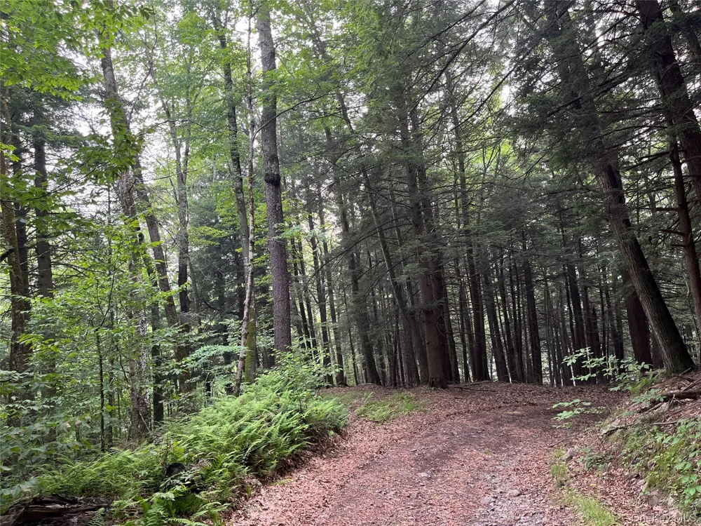 Hood Road Roscoe, NY 12776
