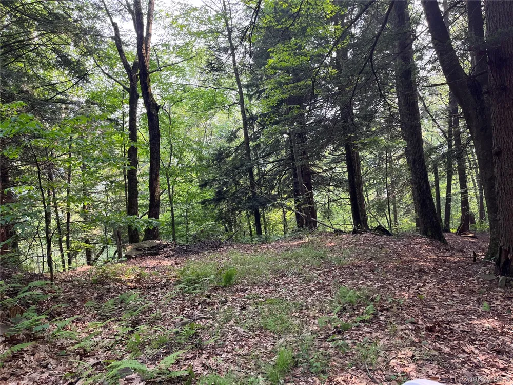 Hood Road Roscoe, NY 12776