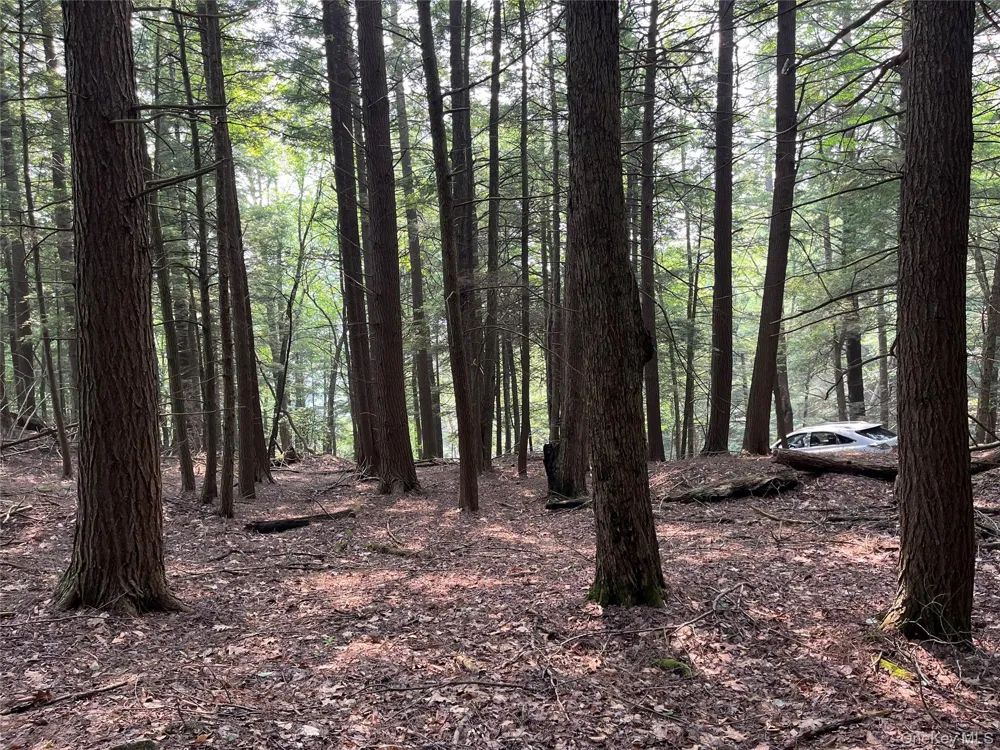 Hood Road Roscoe, NY 12776