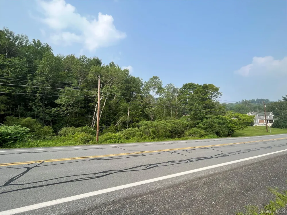 Hood Road Roscoe, NY 12776