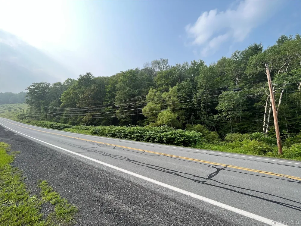 Hood Road Roscoe, NY 12776