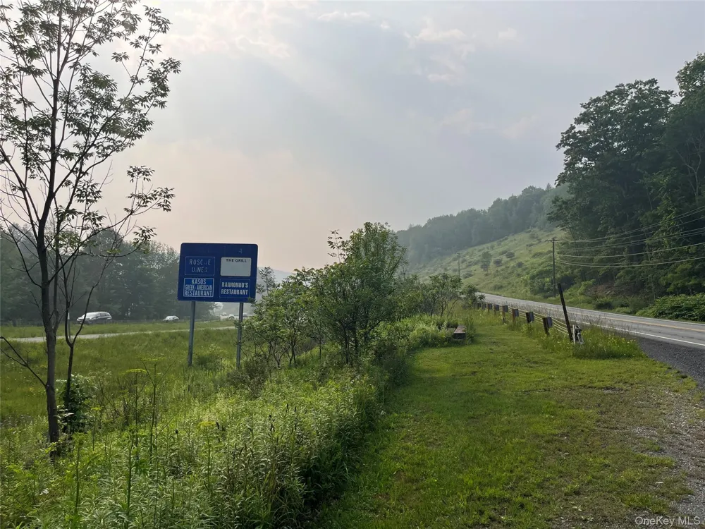 Hood Road Roscoe, NY 12776