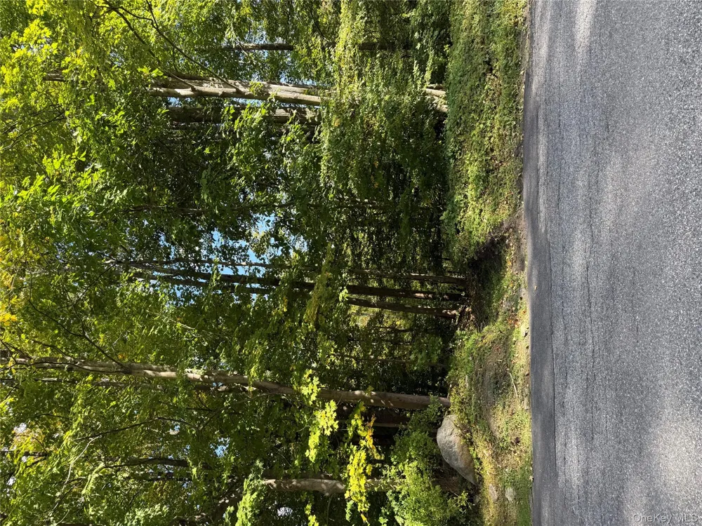 Ludington Carmel, NY 10512