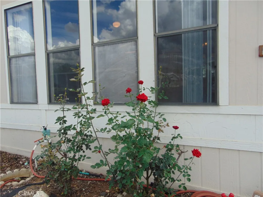 12618 3rd Street #63 Yucaipa, CA 92399