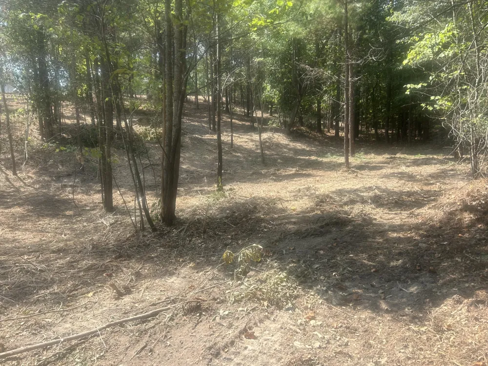 13 Stonechase Lane Cohutta, GA 30710