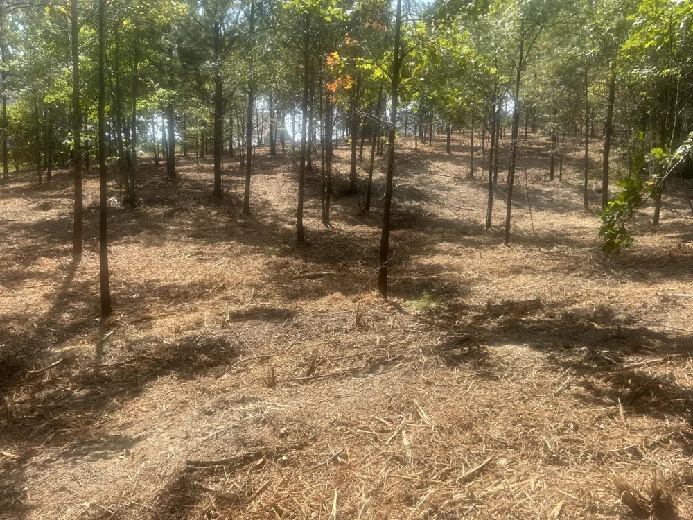 13 Stonechase Lane Cohutta, GA 30710