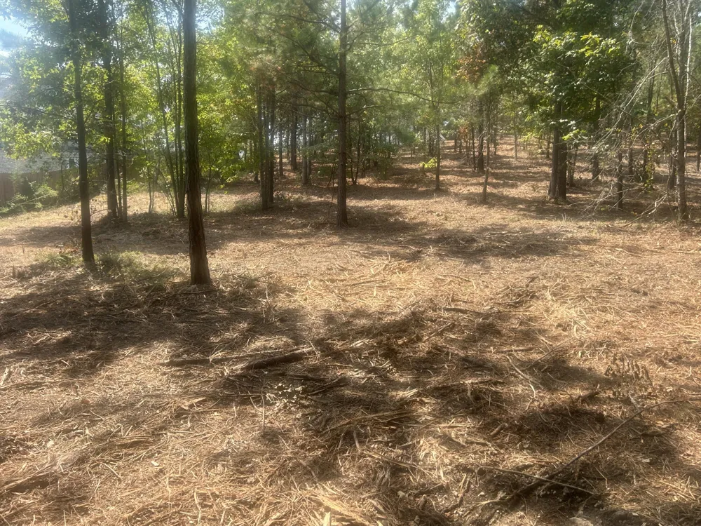 13 Stonechase Lane Cohutta, GA 30710