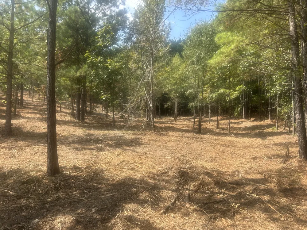 13 Stonechase Lane Cohutta, GA 30710