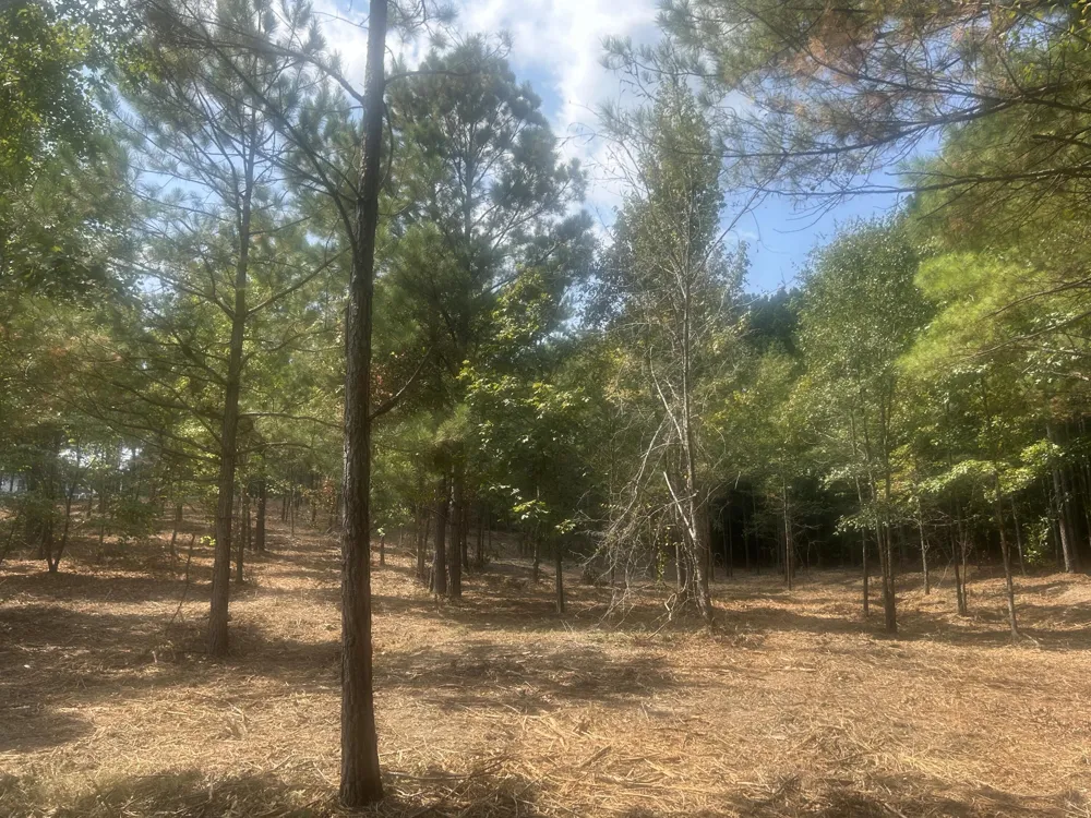 13 Stonechase Lane Cohutta, GA 30710
