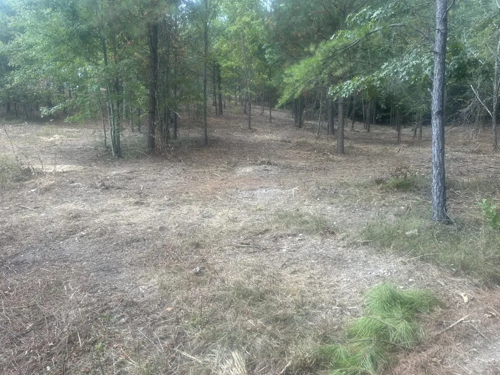 13 Stonechase Lane Cohutta, GA 30710
