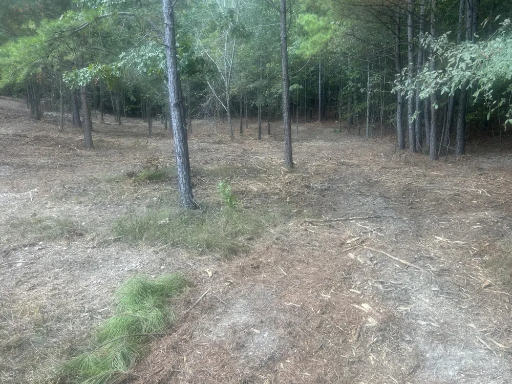 13 Stonechase Lane Cohutta, GA 30710