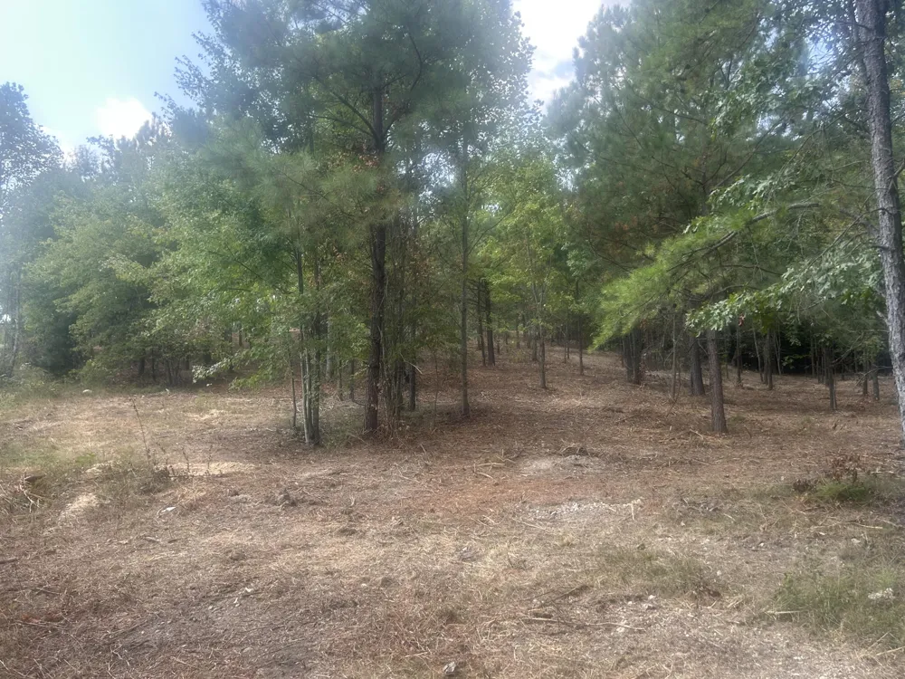 13 Stonechase Lane Cohutta, GA 30710