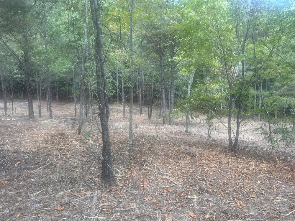 13 Stonechase Lane Cohutta, GA 30710