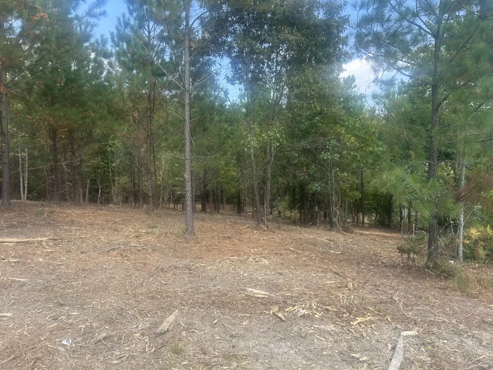 13 Stonechase Lane Cohutta, GA 30710