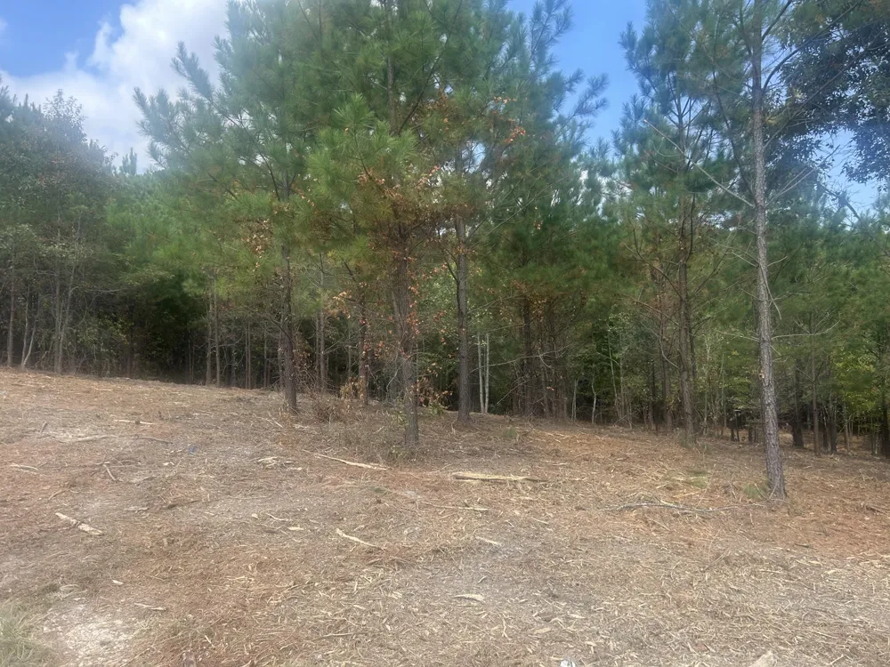 13 Stonechase Lane Cohutta, GA 30710