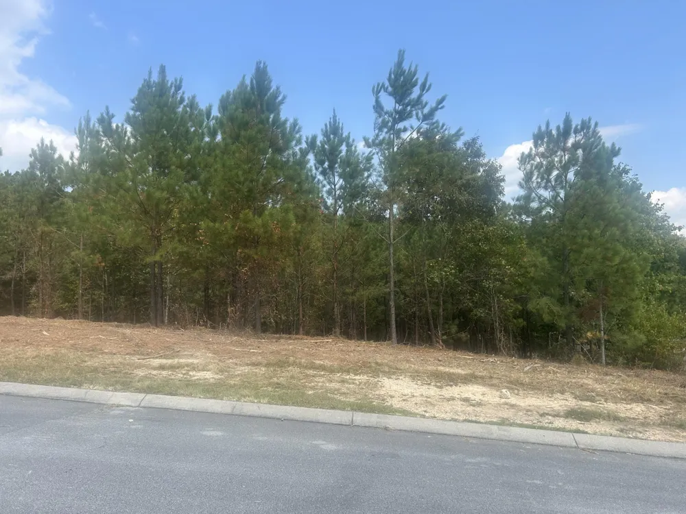 13 Stonechase Lane Cohutta, GA 30710