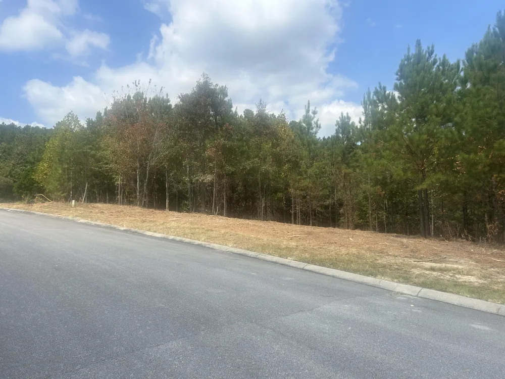 13 Stonechase Lane Cohutta, GA 30710