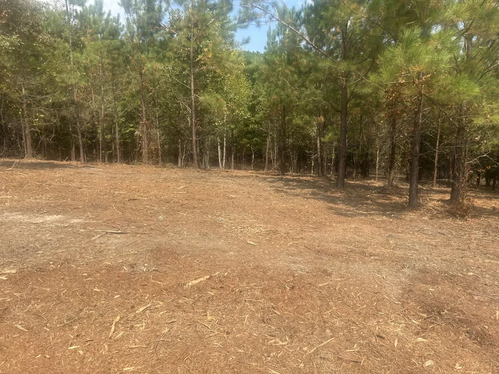 13 Stonechase Lane Cohutta, GA 30710