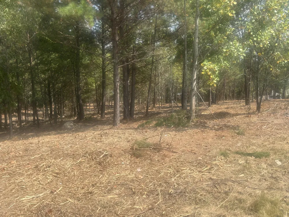 14 Stonechase Lane Cohutta, GA 30710