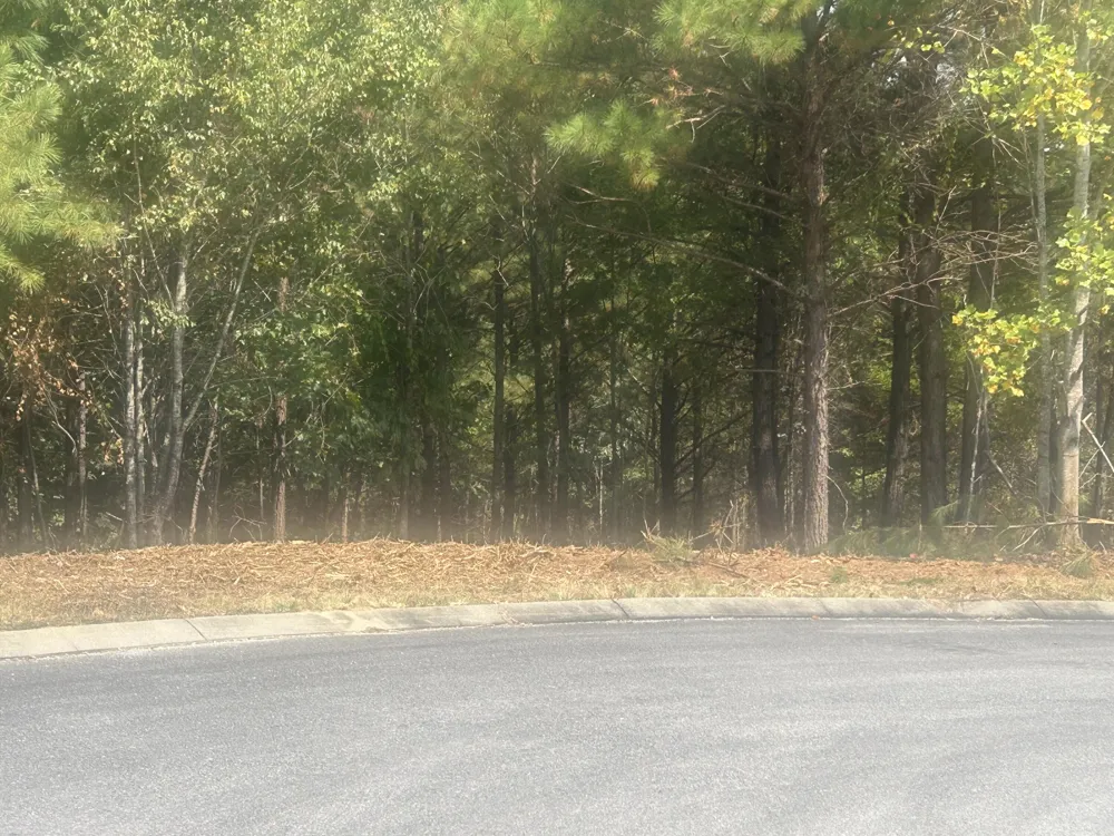 14 Stonechase Lane Cohutta, GA 30710