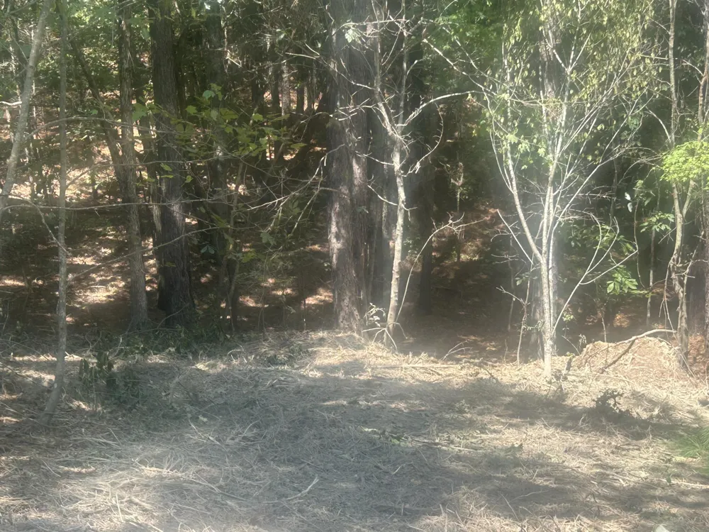 14 Stonechase Lane Cohutta, GA 30710