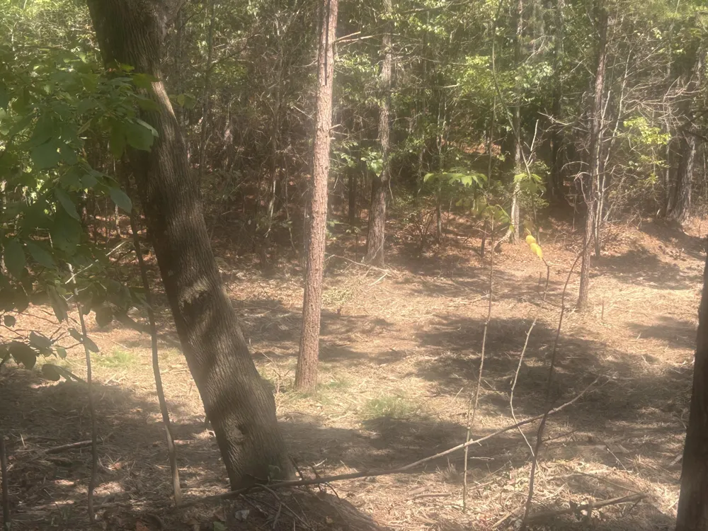 14 Stonechase Lane Cohutta, GA 30710