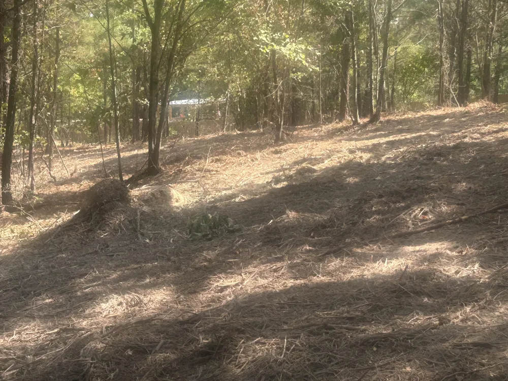 14 Stonechase Lane Cohutta, GA 30710