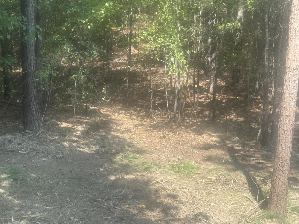 14 Stonechase Lane Cohutta, GA 30710