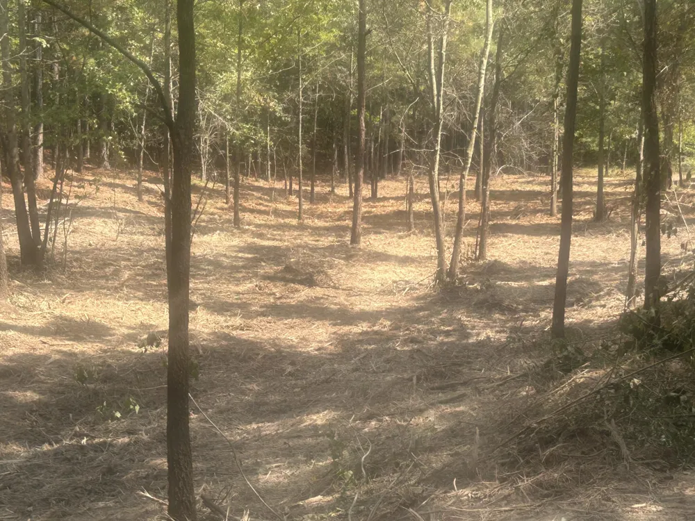 14 Stonechase Lane Cohutta, GA 30710