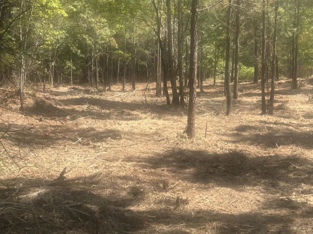 14 Stonechase Lane Cohutta, GA 30710