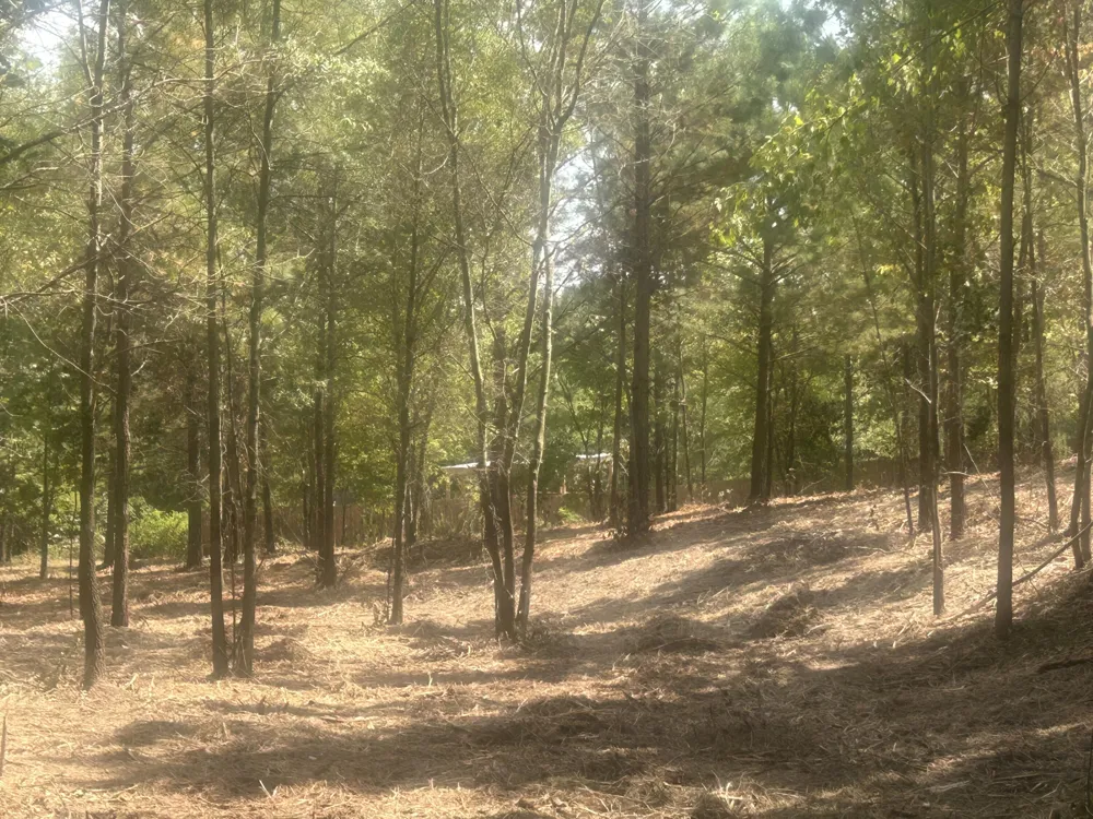 14 Stonechase Lane Cohutta, GA 30710