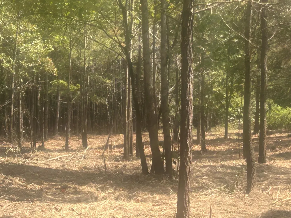 14 Stonechase Lane Cohutta, GA 30710