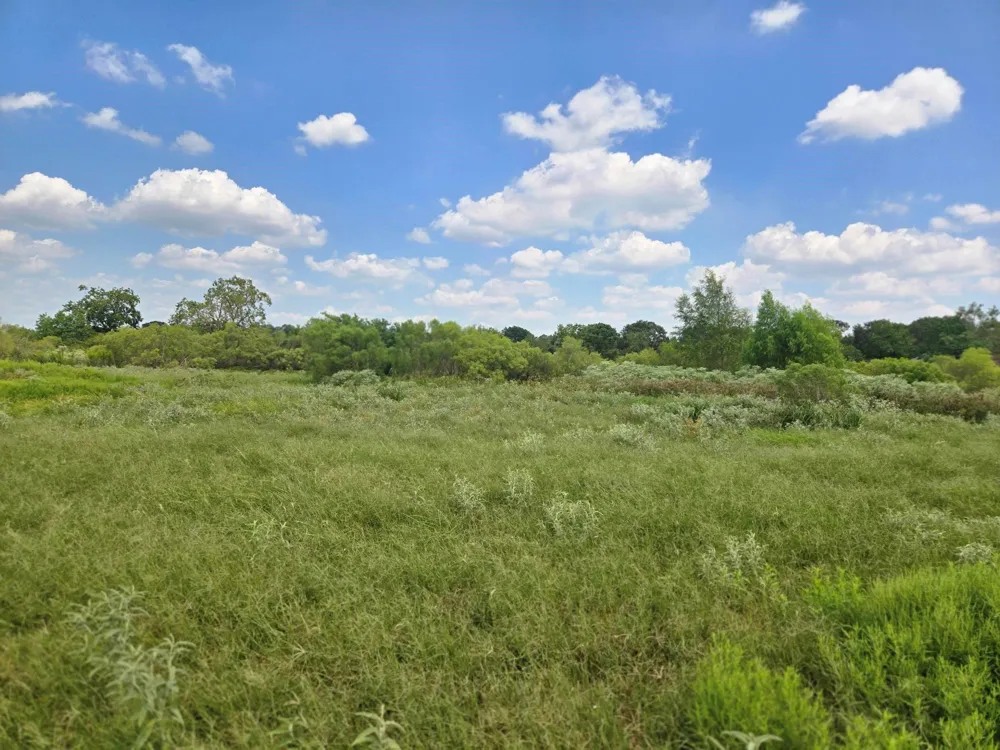 575 N Austin Road Eagle Lake, TX 77434