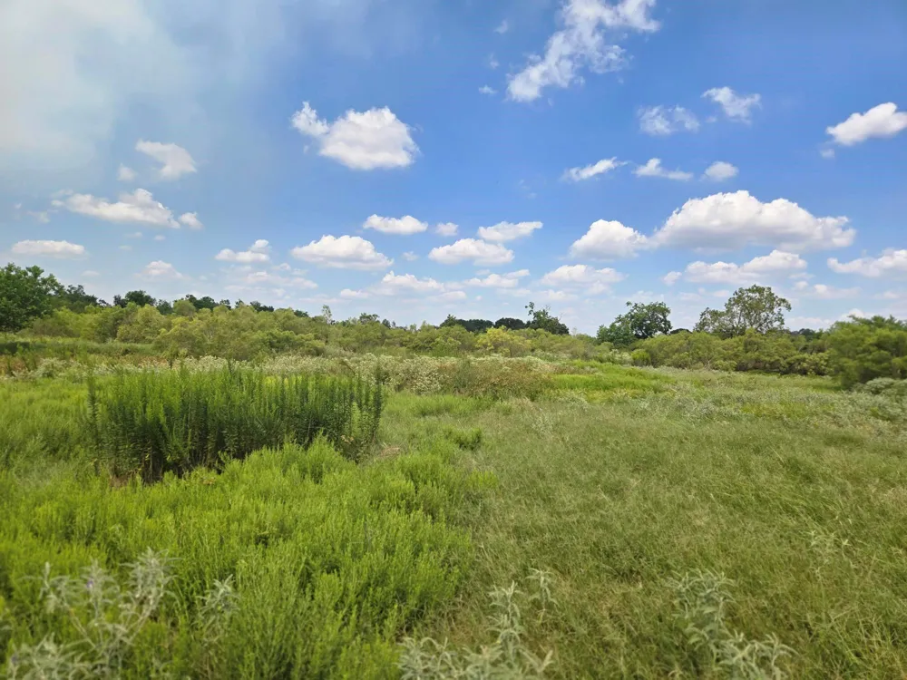 575 N Austin Road Eagle Lake, TX 77434