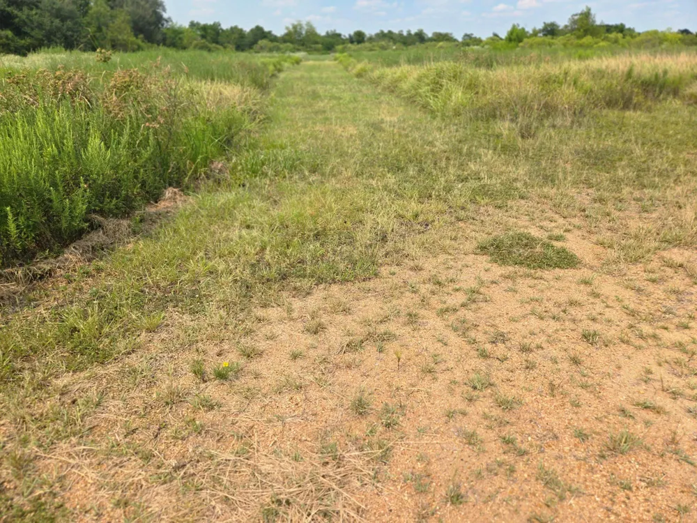 575 N Austin Road Eagle Lake, TX 77434