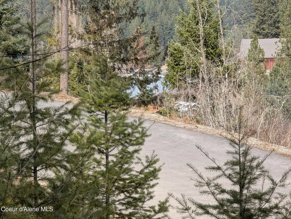 Flying Eagle Lot 19 Harrison, ID 83833