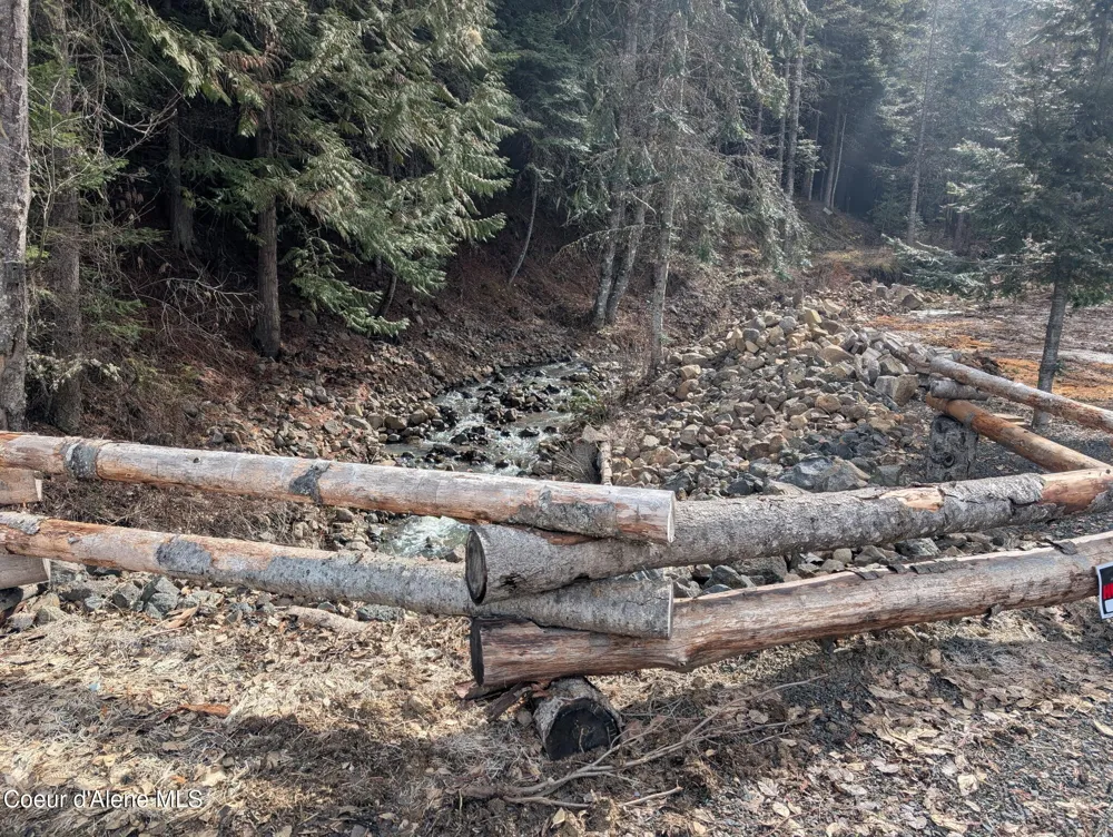 Flying Eagle Lot 19 Harrison, ID 83833