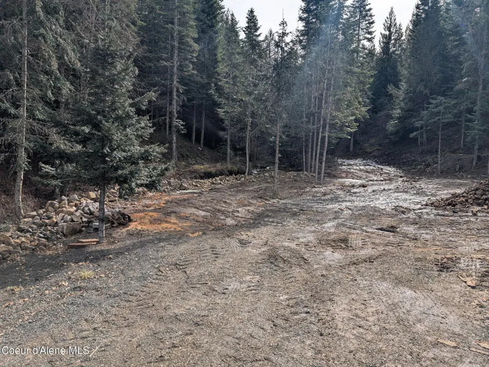 Flying Eagle Lot 19 Harrison, ID 83833