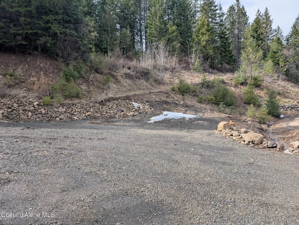 Flying Eagle Lot 19 Harrison, ID 83833