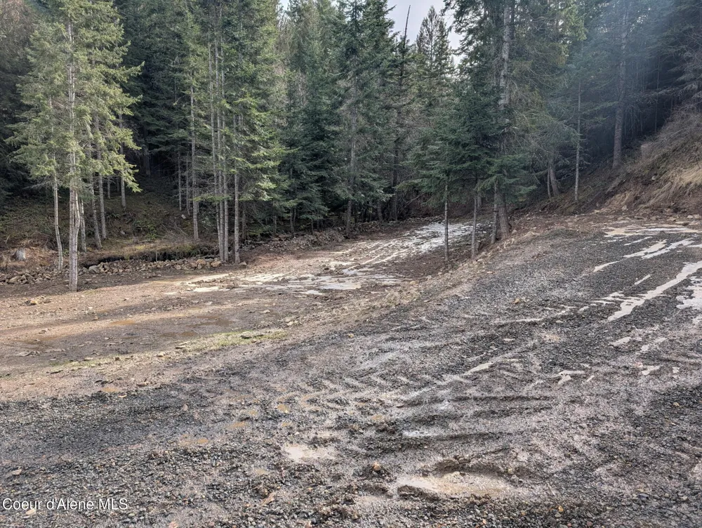 Flying Eagle Lot 19 Harrison, ID 83833