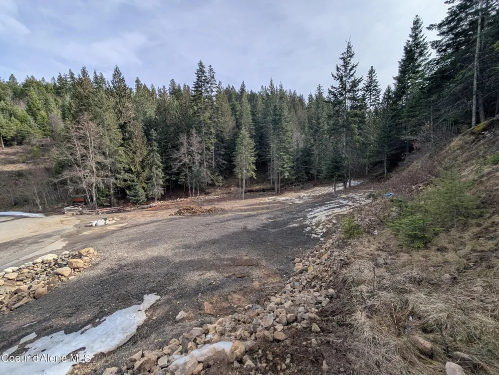 Flying Eagle Lot 19 Harrison, ID 83833