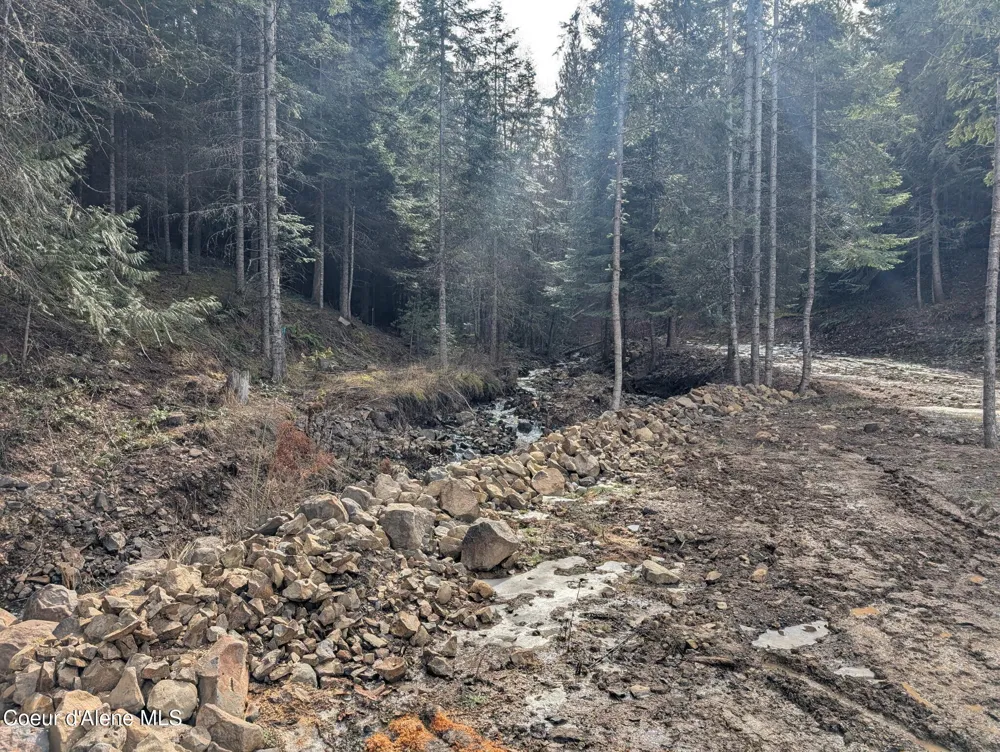 Flying Eagle Lot 19 Harrison, ID 83833
