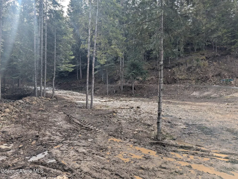 Flying Eagle Lot 19 Harrison, ID 83833