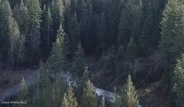 Flying Eagle Lot 19 Harrison, ID 83833