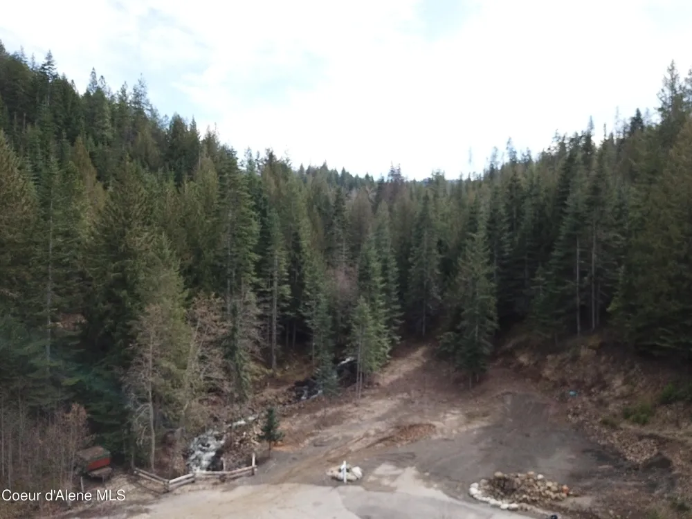 Flying Eagle Lot 19 Harrison, ID 83833