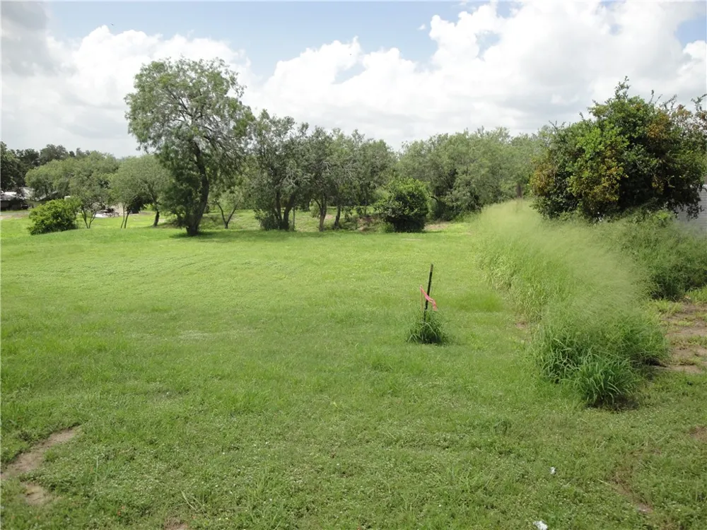 315 S Vista Drive S Sandia, TX 78383
